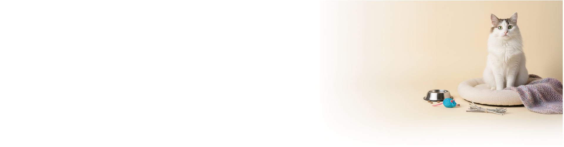 Todo para tu Mascota